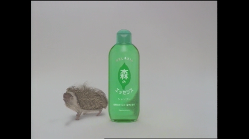 ナリス化粧品 森のエッセンス Garage Film